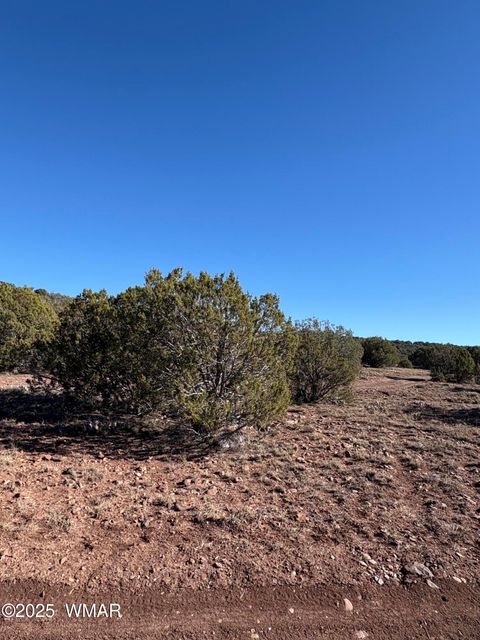 Tiny photo for SW N8716, Concho, AZ 85924 (MLS # 258857)