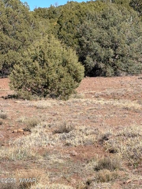 Tiny photo for SW N8716, Concho, AZ 85924 (MLS # 258857)