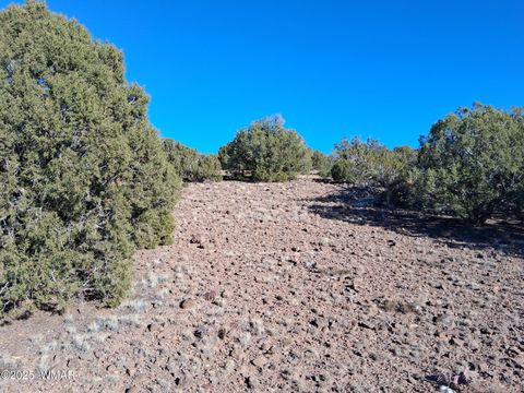 Tiny photo for SW N8716, Concho, AZ 85924 (MLS # 258857)