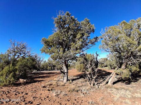 Tiny photo for SW N8716, Concho, AZ 85924 (MLS # 258857)