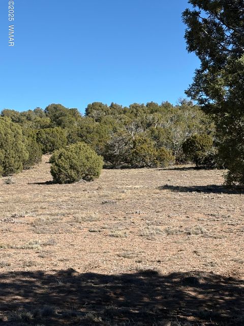 Photo of SW N8716, Concho, AZ 85924 (MLS # 258857)
