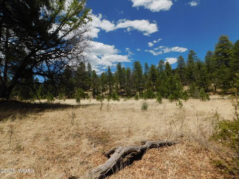 Tiny photo for 10 N2310, Alpine, AZ 85920 (MLS # 258472)