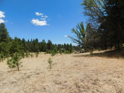 Tiny photo for 10 N2310, Alpine, AZ 85920 (MLS # 258472)