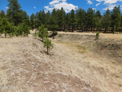 Tiny photo for 10 N2310, Alpine, AZ 85920 (MLS # 258472)