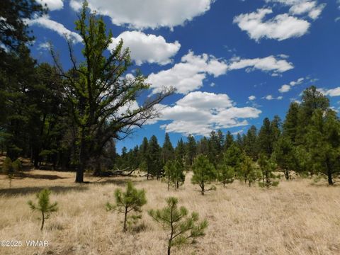 Photo of 10 N2310, Alpine, AZ 85920 (MLS # 258472)