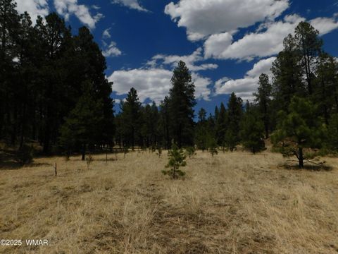 Tiny photo for 10 N2310, Alpine, AZ 85920 (MLS # 258472)