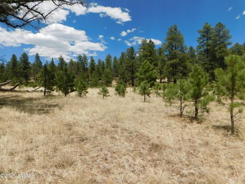 Tiny photo for 10 N2310, Alpine, AZ 85920 (MLS # 258472)