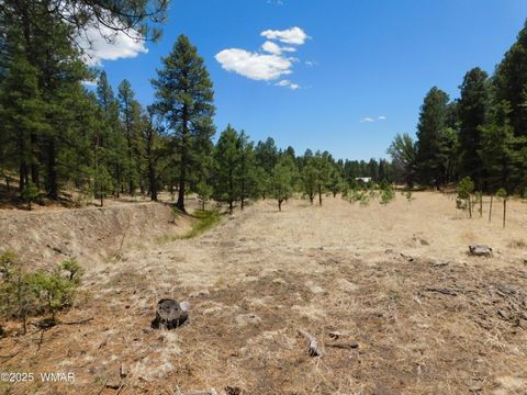 Tiny photo for 10 N2310, Alpine, AZ 85920 (MLS # 258472)
