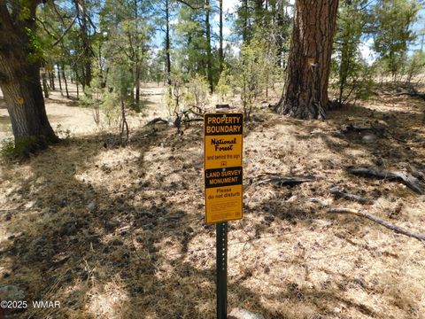 Tiny photo for 10 N2310, Alpine, AZ 85920 (MLS # 258472)