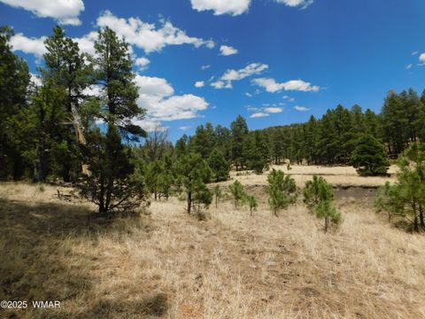 Tiny photo for 10 N2310, Alpine, AZ 85920 (MLS # 258472)