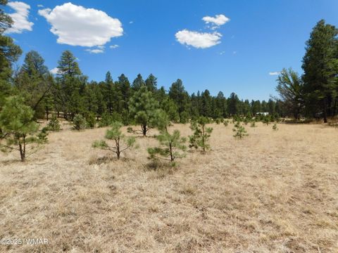 Tiny photo for 10 N2310, Alpine, AZ 85920 (MLS # 258472)
