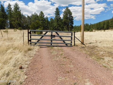 Tiny photo for 10 N2310, Alpine, AZ 85920 (MLS # 258472)