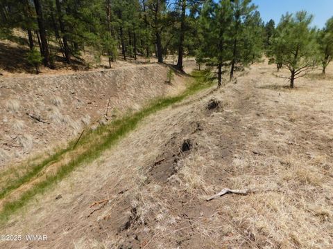 Tiny photo for 10 N2310, Alpine, AZ 85920 (MLS # 258472)