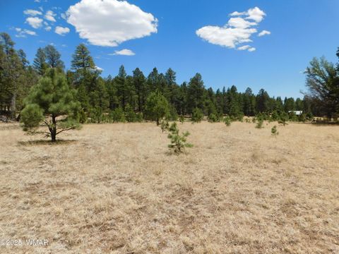 Tiny photo for 10 N2310, Alpine, AZ 85920 (MLS # 258472)