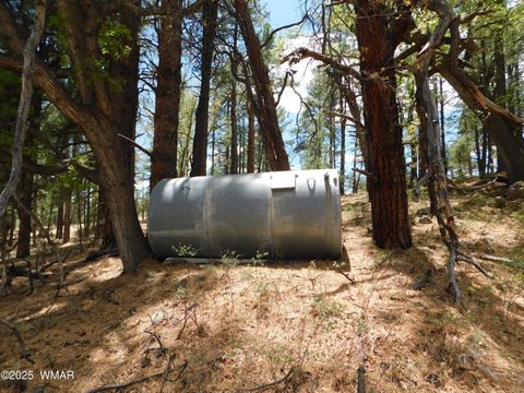 Tiny photo for 10 N2310, Alpine, AZ 85920 (MLS # 258472)