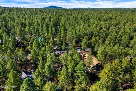 Tiny photo for 3233 Turkey Track Road, Pinetop, AZ 85935 (MLS # 263114)