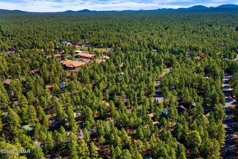 Tiny photo for 3233 Turkey Track Road, Pinetop, AZ 85935 (MLS # 263114)