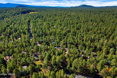 Tiny photo for 3233 Turkey Track Road, Pinetop, AZ 85935 (MLS # 263114)