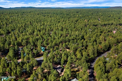 Tiny photo for 3233 Turkey Track Road, Pinetop, AZ 85935 (MLS # 263114)