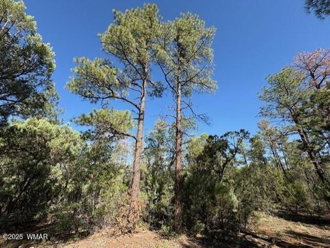 Photo of 2100 W Whispering Springs, Show Low, AZ 85901 (MLS # 257754)