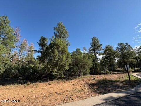 Tiny photo for 2100 W Whispering Springs, Show Low, AZ 85901 (MLS # 257754)