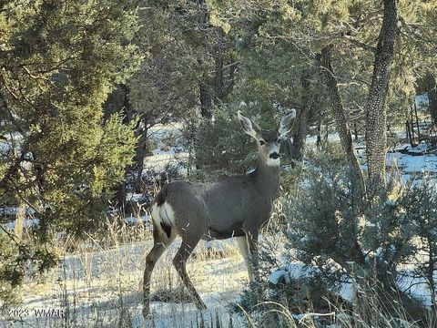 Tiny photo for 2100 W Whispering Springs, Show Low, AZ 85901 (MLS # 257754)