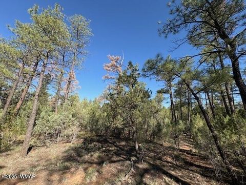Tiny photo for 2100 W Whispering Springs, Show Low, AZ 85901 (MLS # 257754)