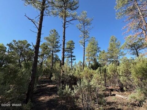 Tiny photo for 2100 W Whispering Springs, Show Low, AZ 85901 (MLS # 257754)