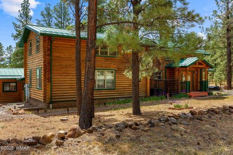 Tiny photo for 2 Acr 1027, Greer, AZ 85927 (MLS # 256302)