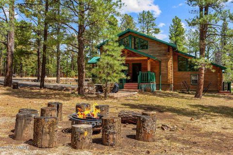 Tiny photo for 2 Acr 1027, Greer, AZ 85927 (MLS # 256302)
