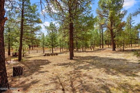 Tiny photo for 2 Acr 1027, Greer, AZ 85927 (MLS # 256302)