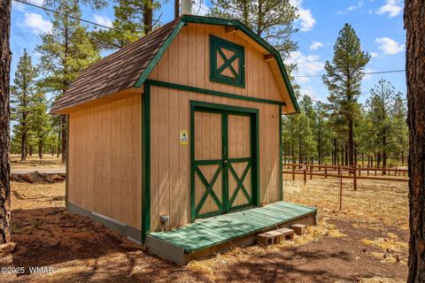 Tiny photo for 2 Acr 1027, Greer, AZ 85927 (MLS # 256302)