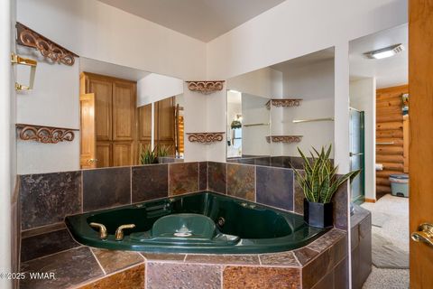 Tiny photo for 2 Acr 1027, Greer, AZ 85927 (MLS # 256302)