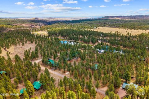 Tiny photo for 2 Acr 1027, Greer, AZ 85927 (MLS # 256302)
