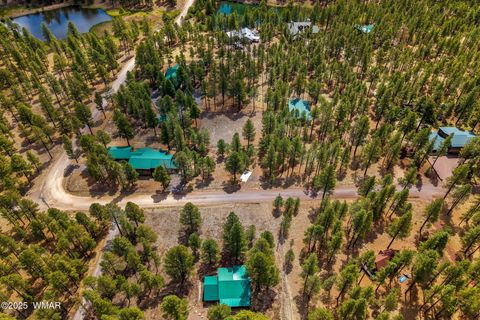Tiny photo for 2 Acr 1027, Greer, AZ 85927 (MLS # 256302)