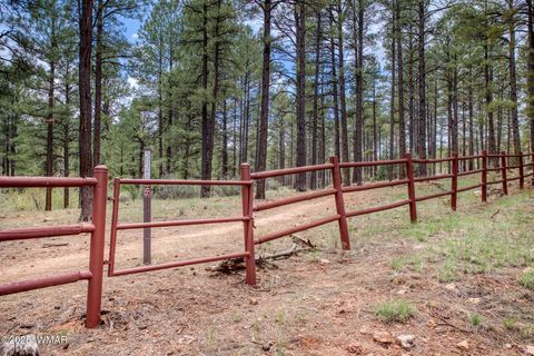 Tiny photo for 5160 W Tatanka Loop, Show Low, AZ 85901 (MLS # 257777)