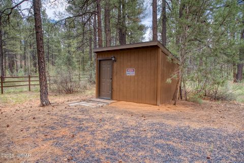 Tiny photo for 5160 W Tatanka Loop, Show Low, AZ 85901 (MLS # 257777)