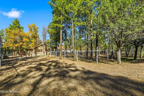 Tiny photo for 6516 Wagon Wheel Lane, Lakeside, AZ 85929 (MLS # 259349)