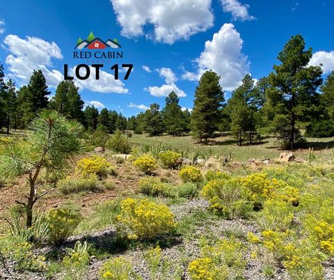 Photo of Lot 17 Red Cabin Ranch, Vernon, AZ 85940 (MLS # 253381)