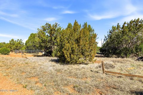 Photo of 8318 Bear Meadow Drive, Show Low, AZ 85901 (MLS # 260416)