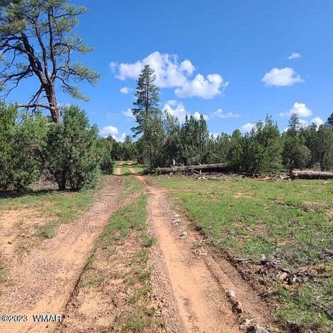 Tiny photo for 3085&3091 State Route 277 Highway, Heber, AZ 85928 (MLS # 245026)