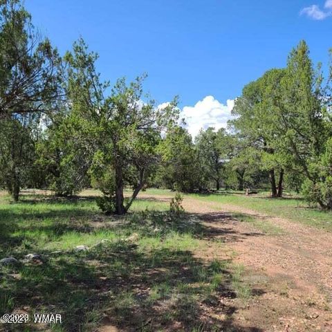 Tiny photo for 3085&3091 State Route 277 Highway, Heber, AZ 85928 (MLS # 245026)