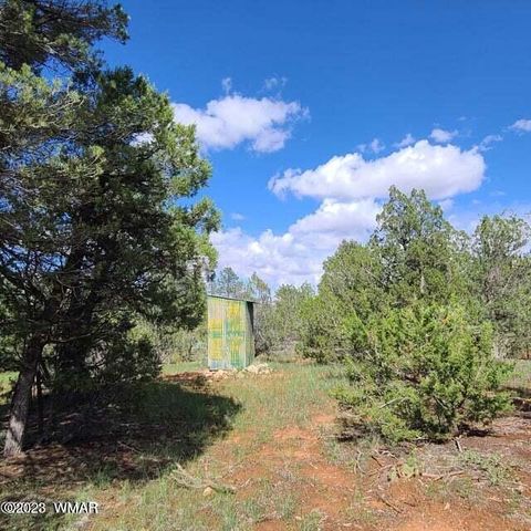 Tiny photo for 3085&3091 State Route 277 Highway, Heber, AZ 85928 (MLS # 245026)