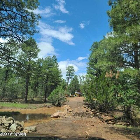 Tiny photo for 3085&3091 State Route 277 Highway, Heber, AZ 85928 (MLS # 245026)