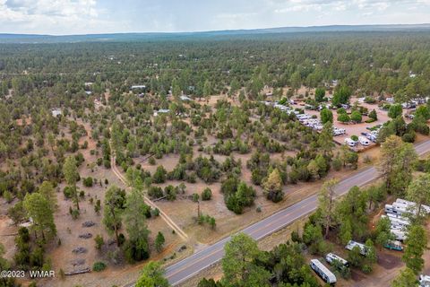 Tiny photo for 3085&3091 State Route 277 Highway, Heber, AZ 85928 (MLS # 245026)