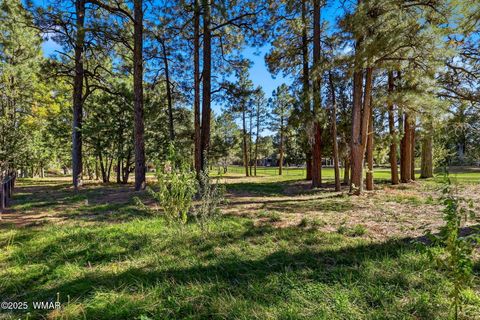 Tiny photo for 680 N 34th Drive, Show Low, AZ 85901 (MLS # 258477)