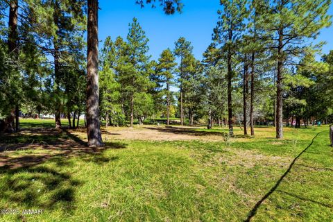 Tiny photo for 680 N 34th Drive, Show Low, AZ 85901 (MLS # 258477)