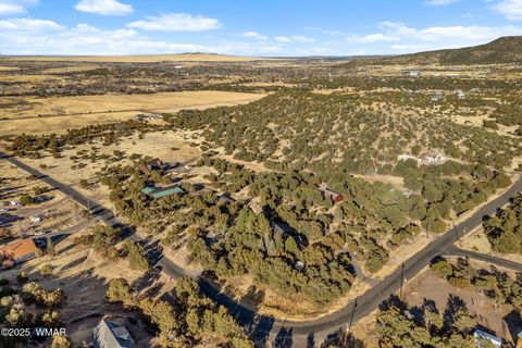 Tiny photo for 1425 S Amity Lane, Eagar, AZ 85925 (MLS # 254854)
