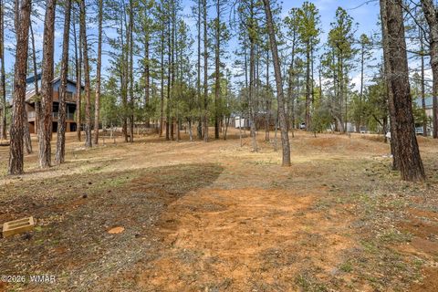 Tiny photo for 1041 E White Tail Drive, Show Low, AZ 85901 (MLS # 259545)