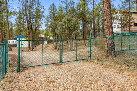 Tiny photo for 1041 E White Tail Drive, Show Low, AZ 85901 (MLS # 259545)